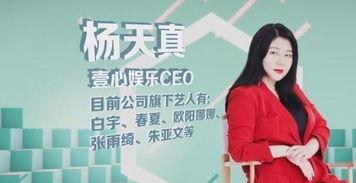 明星经纪人是做什么的,幕后推手如何塑造明星辉煌